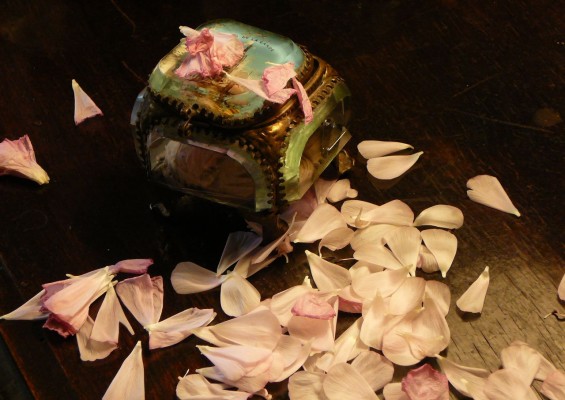 Valediction Forbidding Mourning Petals photo
