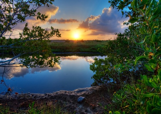 Indian River Lagoon Artist Date