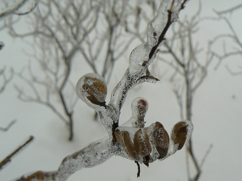 ... results/artist/234/ | cerámica | Pinterest | Dates, Artists and Woods