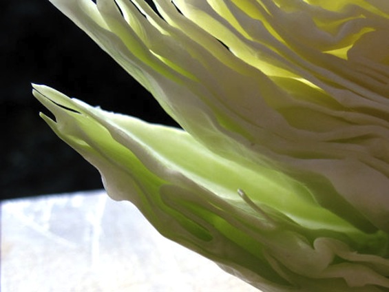 Book Cabbage by TheDeliciousLife
