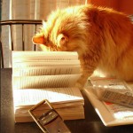top ten poetry picks