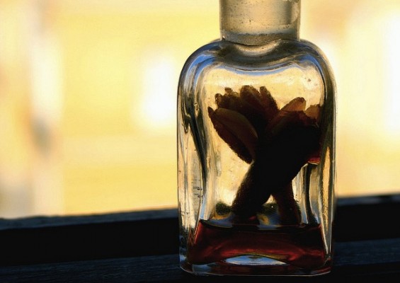 Clear Glass Bottle Poetry