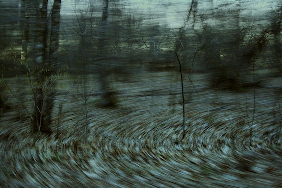 Poem Analysis Anne Sexton's Her Kind Forest Evocative