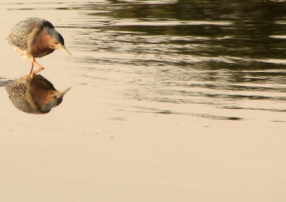 twitter poems top ten poetic tweets