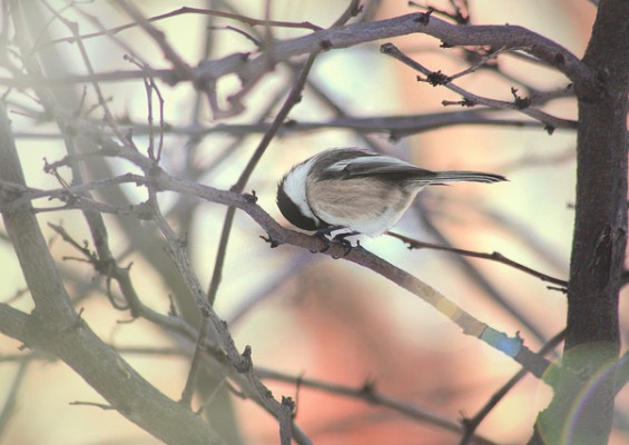 twitter poetry top ten poetic tweets