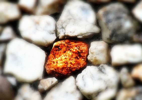 Wisława Szymborska's Conversation with a Stone