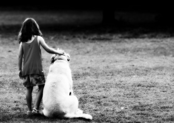 Dog Songs