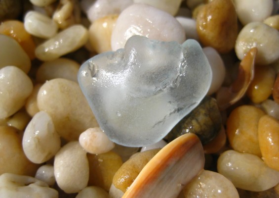 Portrait of a shell, sand, and sea