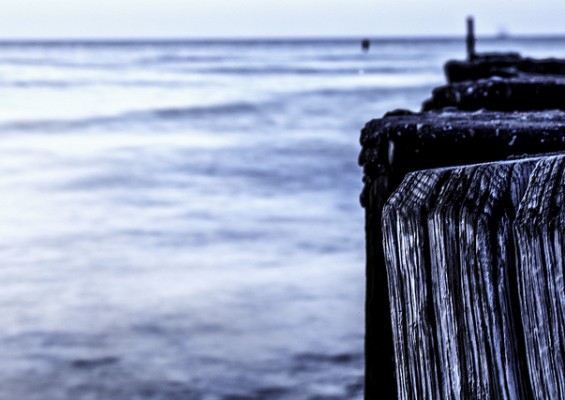 progression of a writing life risk