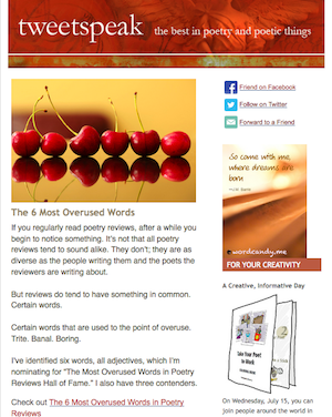 newsletter sample