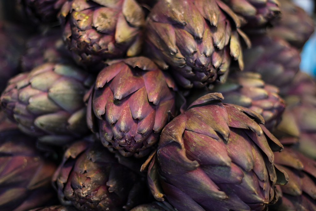 Mindmapping Artichokes by Ivan McClellan