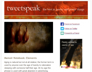 tweetspeak free newsletter sample