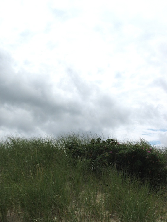 Cape Cod National Seashore