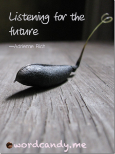 wordcandy adrienne rich quote