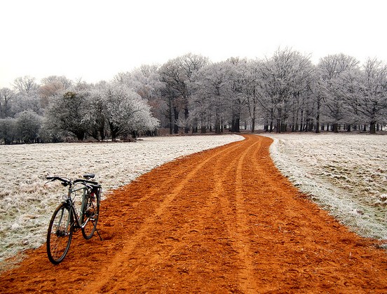 TSP Snowy Woods Robert Frost