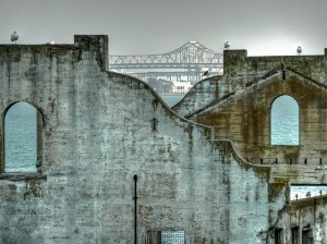 alcatraz view of bridge birds