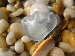 Portrait of a shell, sand, and sea