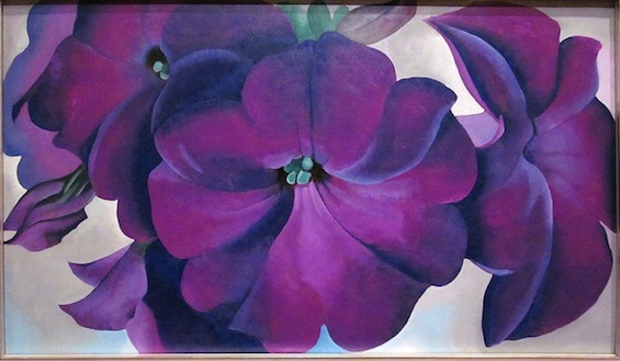 Petunias-OKeeffe-DeYoung