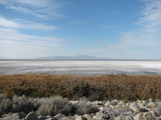 Salt Lake Byway with Vegetation