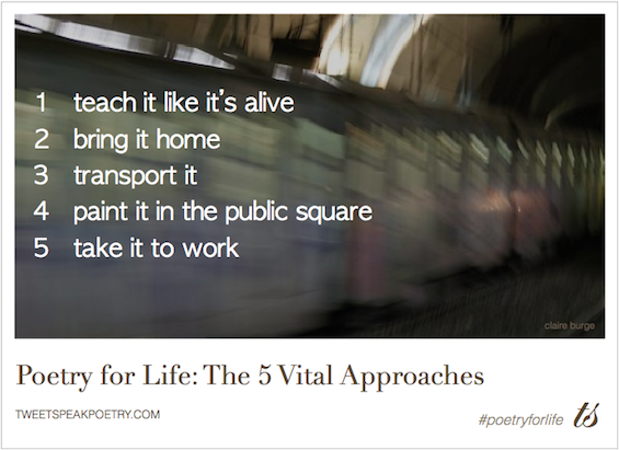 poetry for life 5 vital approaches