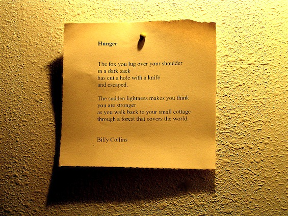 Billy collins introduction to poetry essay