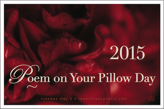 Poem on your pillow day 2015