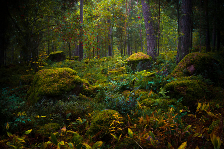 Photo Play & Prompt: Fairy Tale and Fantasy