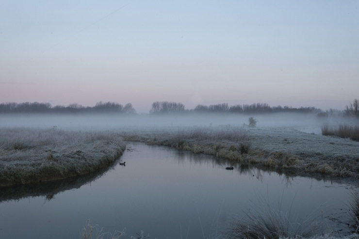 Spring Books Waterway with Fog 1