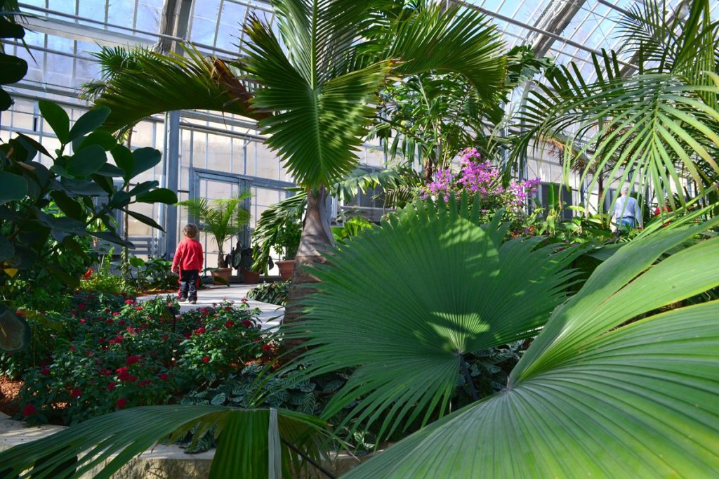 Lauritzen Gardens Tropical House