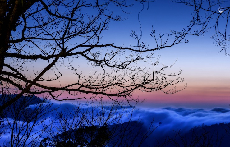 nature themed poems