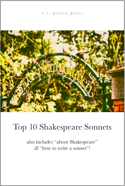shakespeare sonnet 104 literary devices