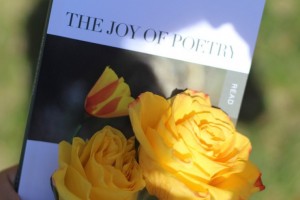 The Joy of Poetry with yellow rose