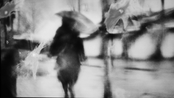 Woman in Rain - Poetic Voices: Lucia Cherciu and Sarah Nichols