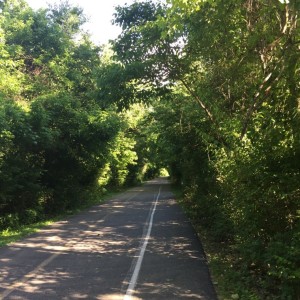 The wildlife-laden section of Grant's Trail, home to deer, turkeys, and snakes.