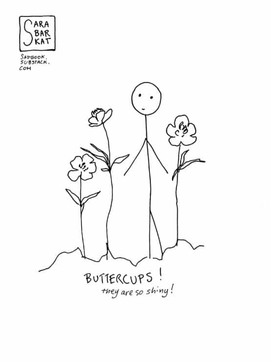 comic 110 buttercups