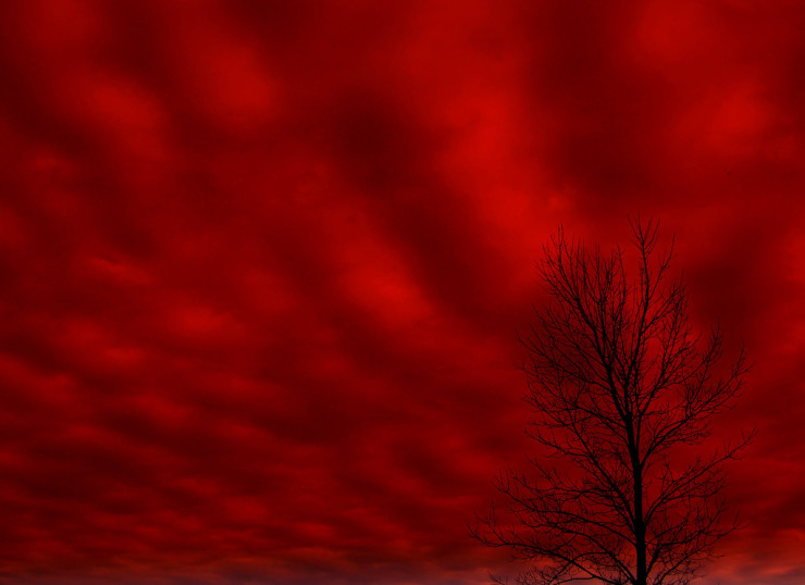 Red Sky - More than a Broken Hallelujah: Leonard Cohen