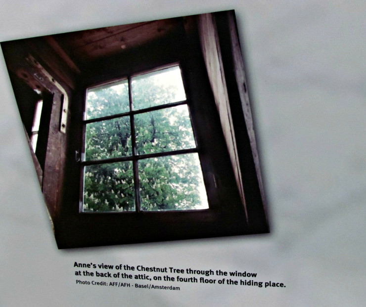 View of chestnut tree from Anne Frank's window at Holocaust Memorial Center