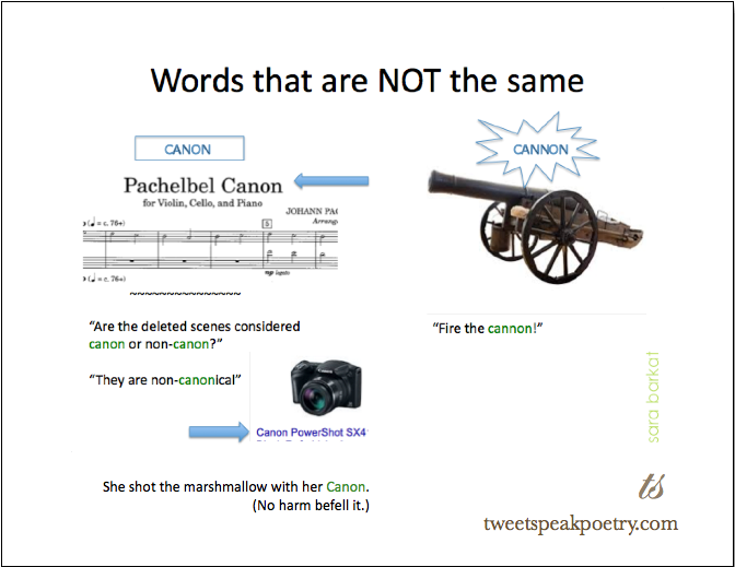 homophones canon and cannon