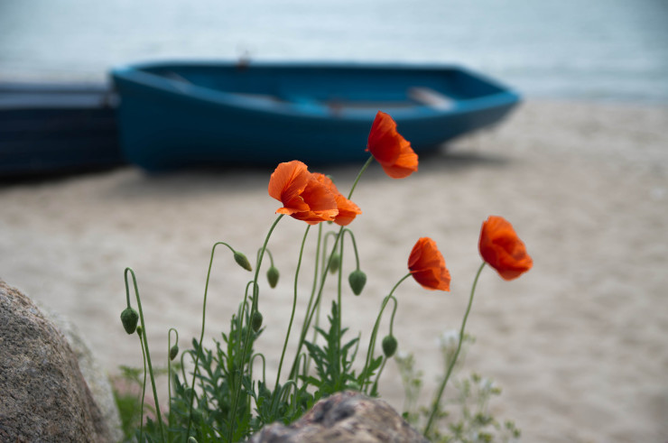 Longfellow The Tide Rises coloring page - boat by seaside