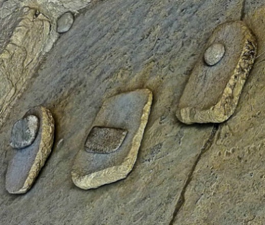 Mesa Verde National Park metates