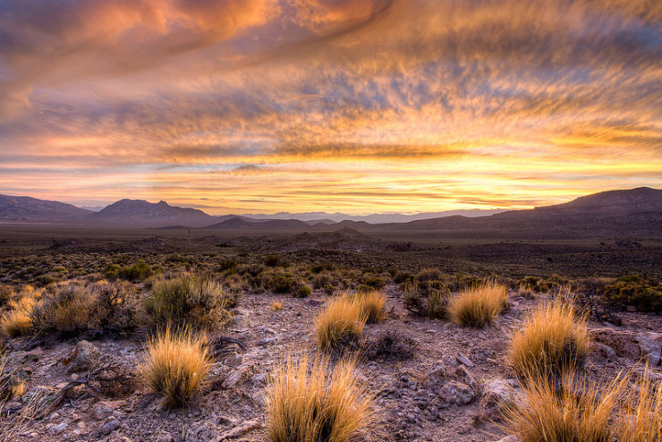 Desert - Mohja Kahf and “Hagar Poems”