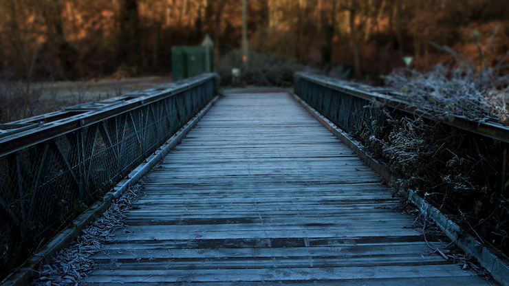 making-a-promise-on-the-blue-wood-bridge