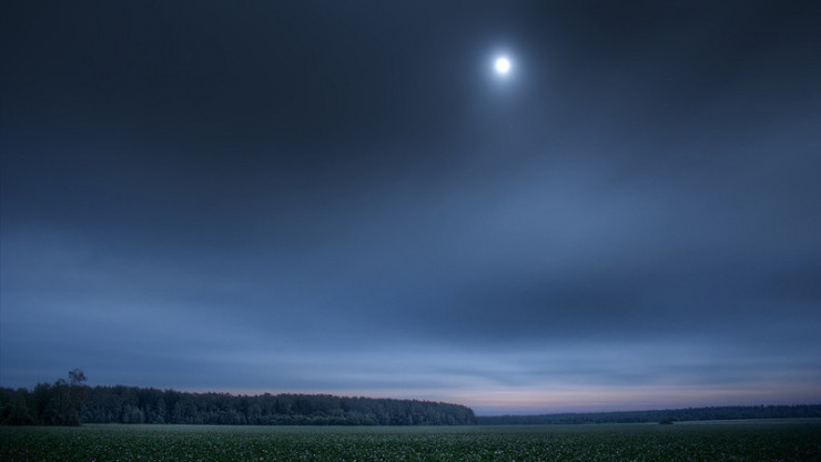 Twilight Field - Leon Stokesbury