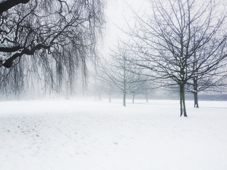 Storytelling as an Intentional Act snowy woods scene