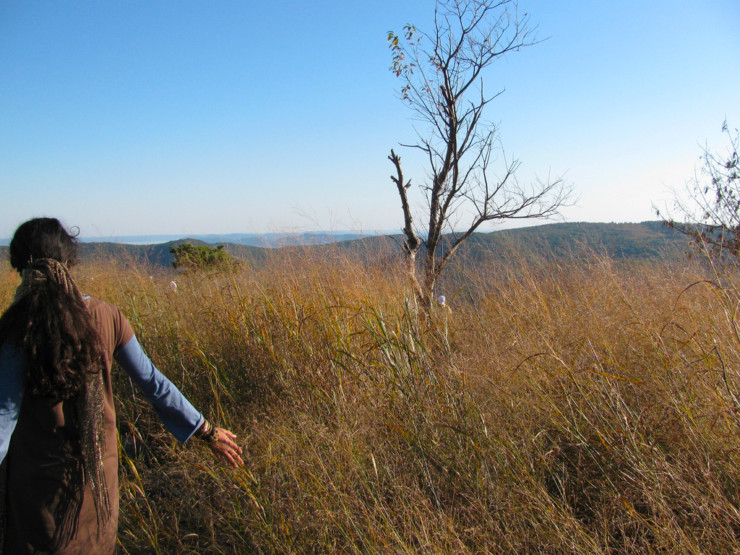 bear-mountain-new-york-top-of-mountain-1autumn