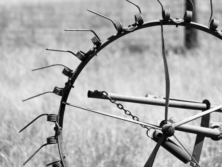 Hay Rake Poetry at Work Day