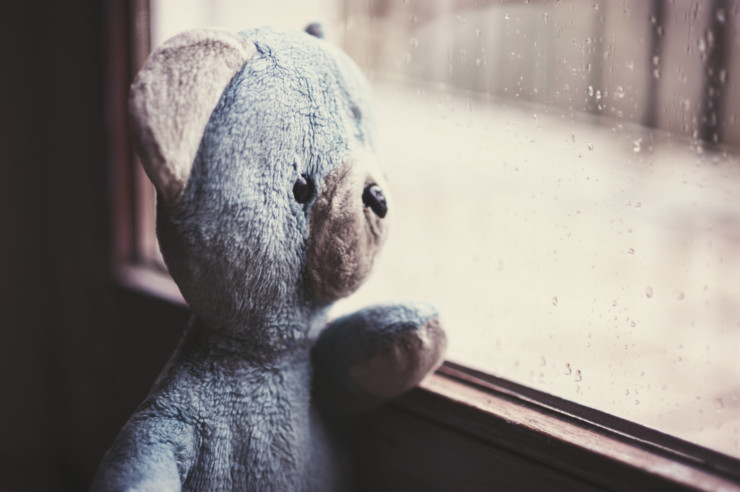 Emotional literacy - stuffed bear at window