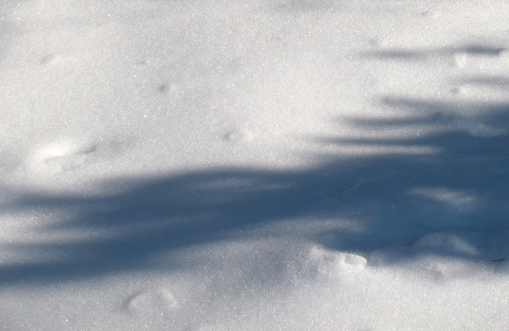 snow shadows