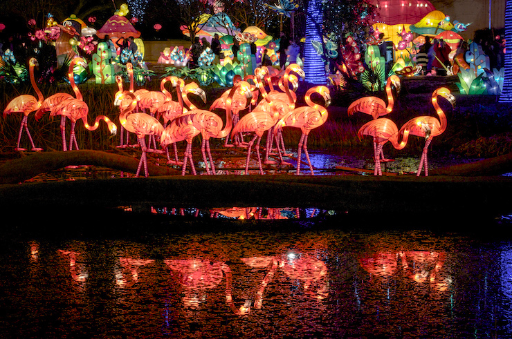 Chinese Lanterns Art By Day Magic Night After I Took That Spill On A Hill At Dusk Into Pile Of Mackinac Island Horse Manure Some Years Back Was Afraid To Climb My Bike