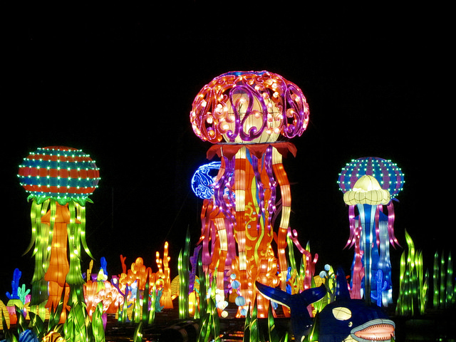 Chinese lantern festival 